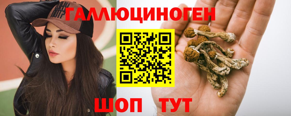 где купить наркоту  Галлюциногенные грибы Magic Shrooms  Вход с VPN  Галлюциногенные грибы ЛСД  Благовещенск 